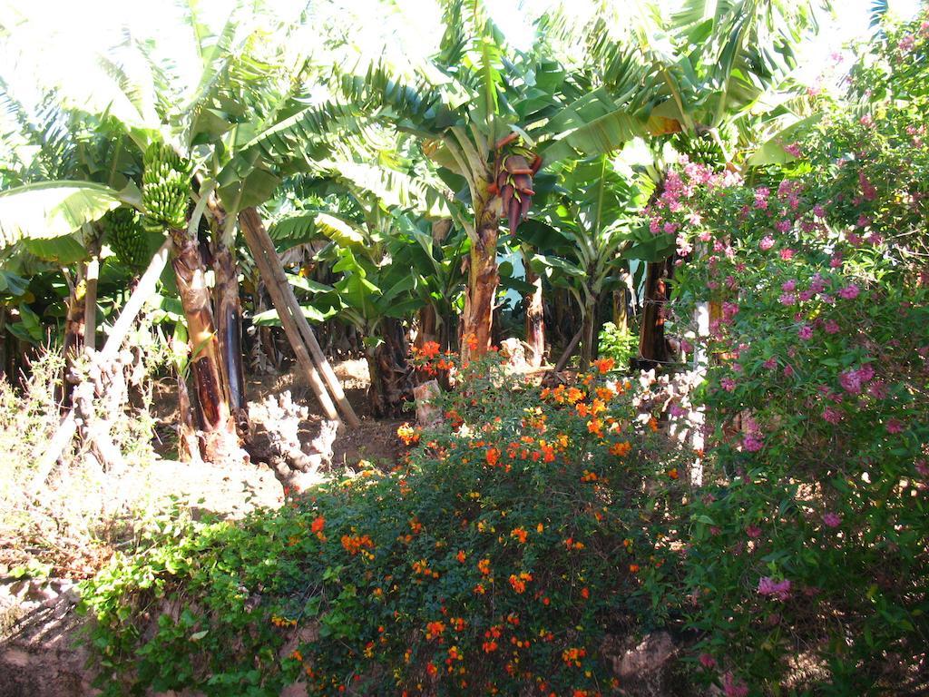 Quinta Sao Goncalo Villa Funchal  Exterior photo